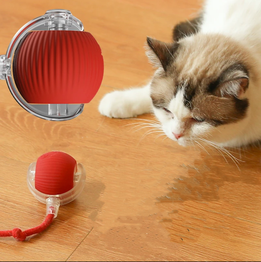 Smart Ball Cat Toy – Rotating Interactive Pet Toy With Motion For Exercise