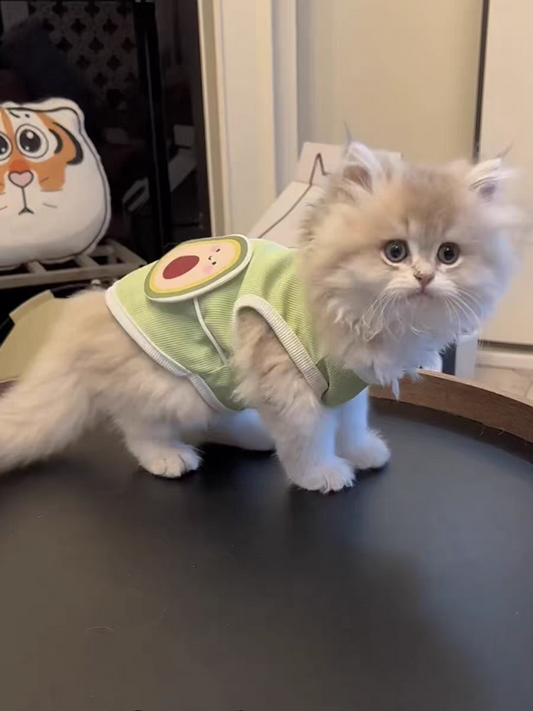 Summer Cool Vest - Lightweight Cat Summer Vest With Breathable Cooling Apparel