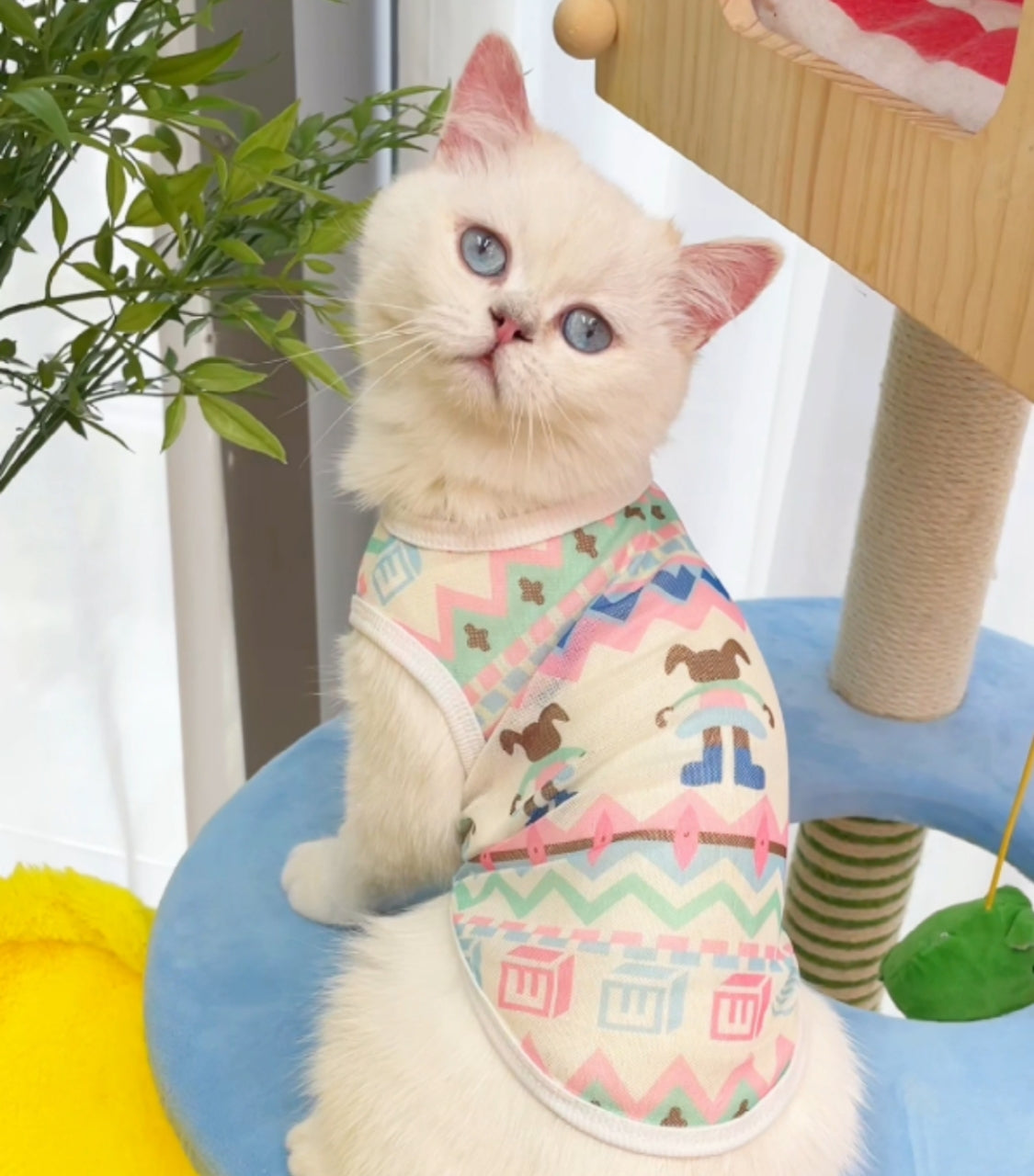 Pet Anti Shedding Vest – Lightweight Summer Pet Vest for Fur Reduction