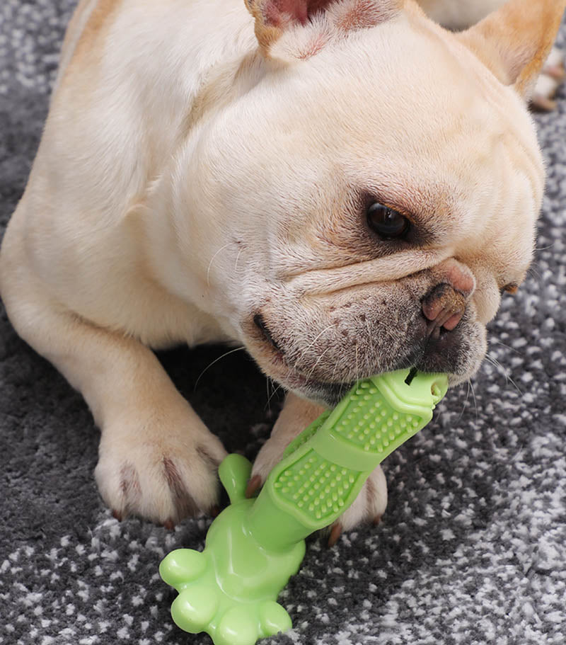 Dog Toothbrush Toy – Dual Sided Brush With Stabilizing Base For Aggressive Chewers