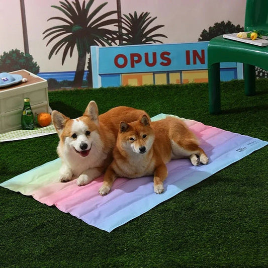 Pet Cooling Bed – Summer Ice Layer Technology Cooling Dog & Cat Mattress