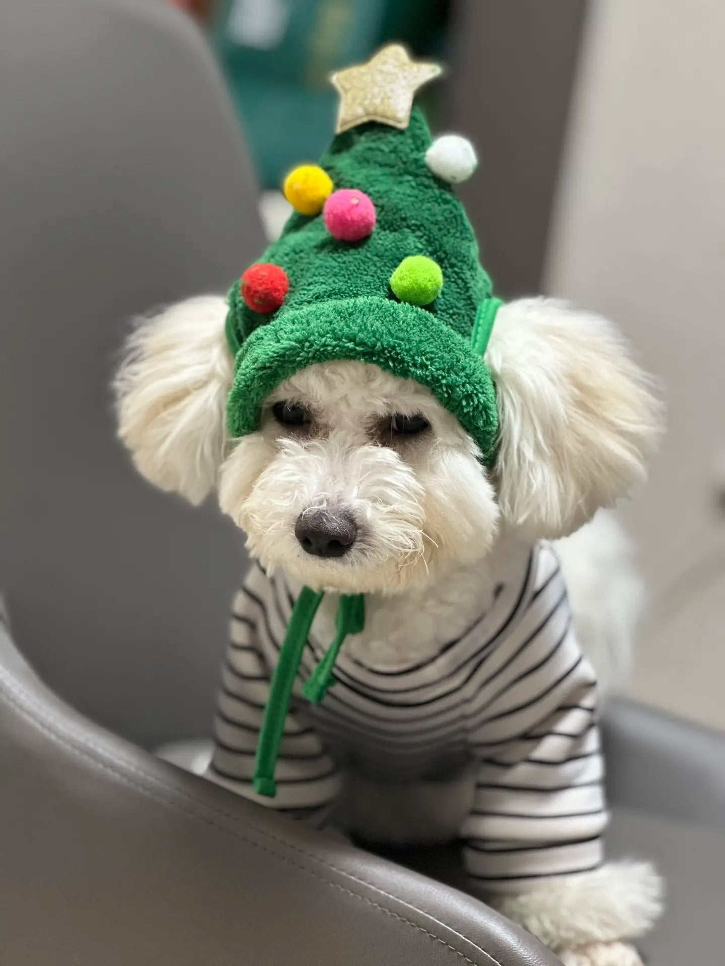 Pet Christmas Hat With Dog Holiday Scarf – Warm Festive Pet Accessories