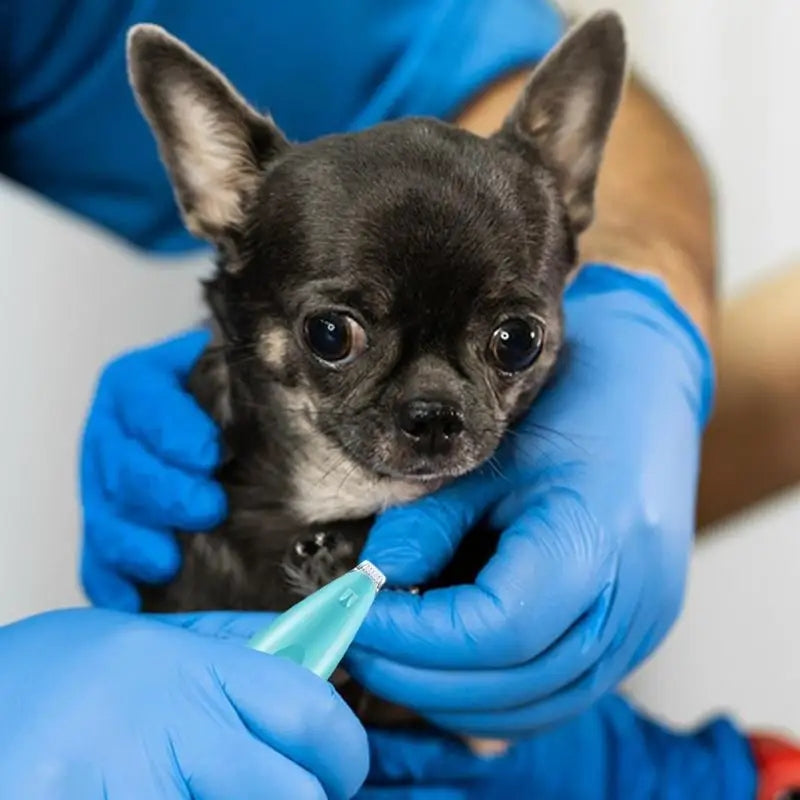 Pet Mini Trimmer – Safe Pet Grooming Tool With Mini Safety Blade For Precise Hair Trimming