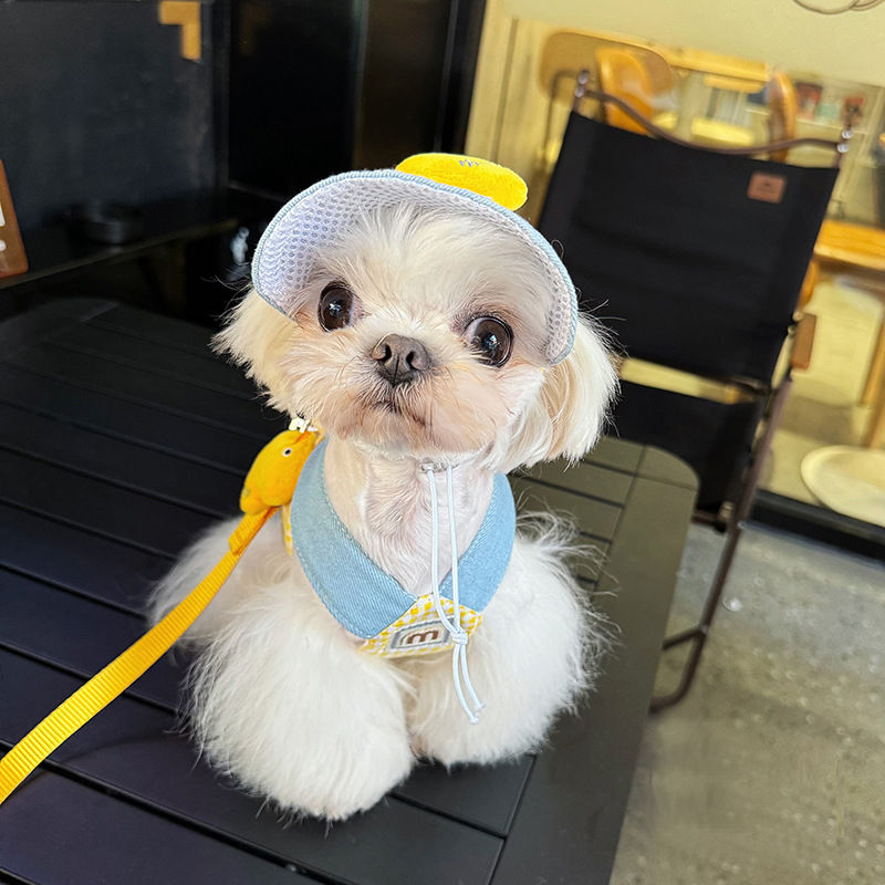 Pet Chest Harness – Adjustable Dog & Cat Harness with Duck Design for Spring Summer