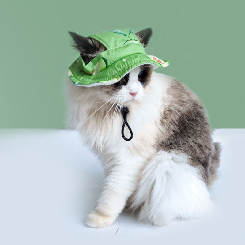 Cute Pet Hat - Small Dog Hat With Ear Holes | Tiny Pet Birthday Costume