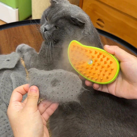 3 in 1 Cat Brush | Pet Grooming Brush with Nano Mist Spray & Deshedding Tool