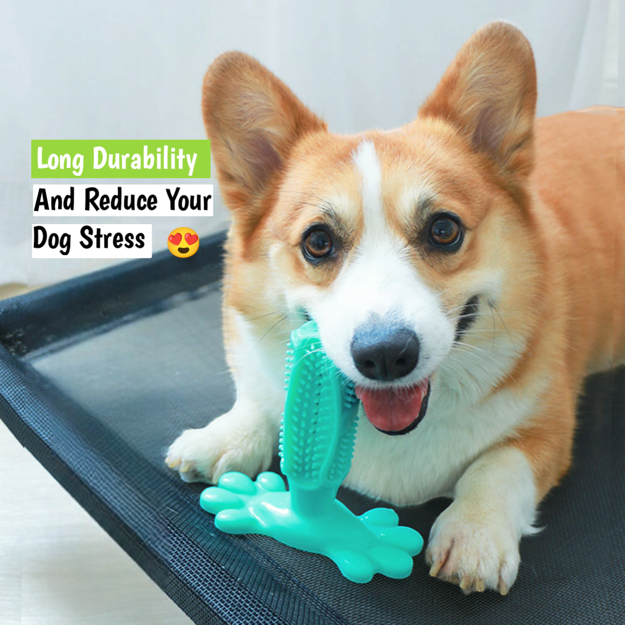 Dog Toothbrush Toy – Dual Sided Brush With Stabilizing Base For Aggressive Chewers