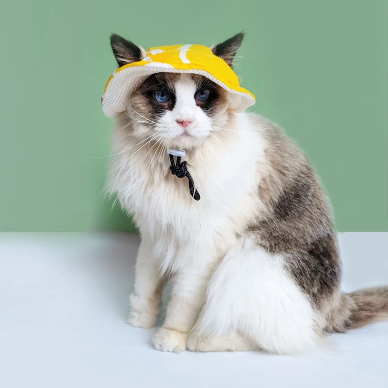 Cute Pet Hat - Small Dog Hat With Ear Holes | Tiny Pet Birthday Costume