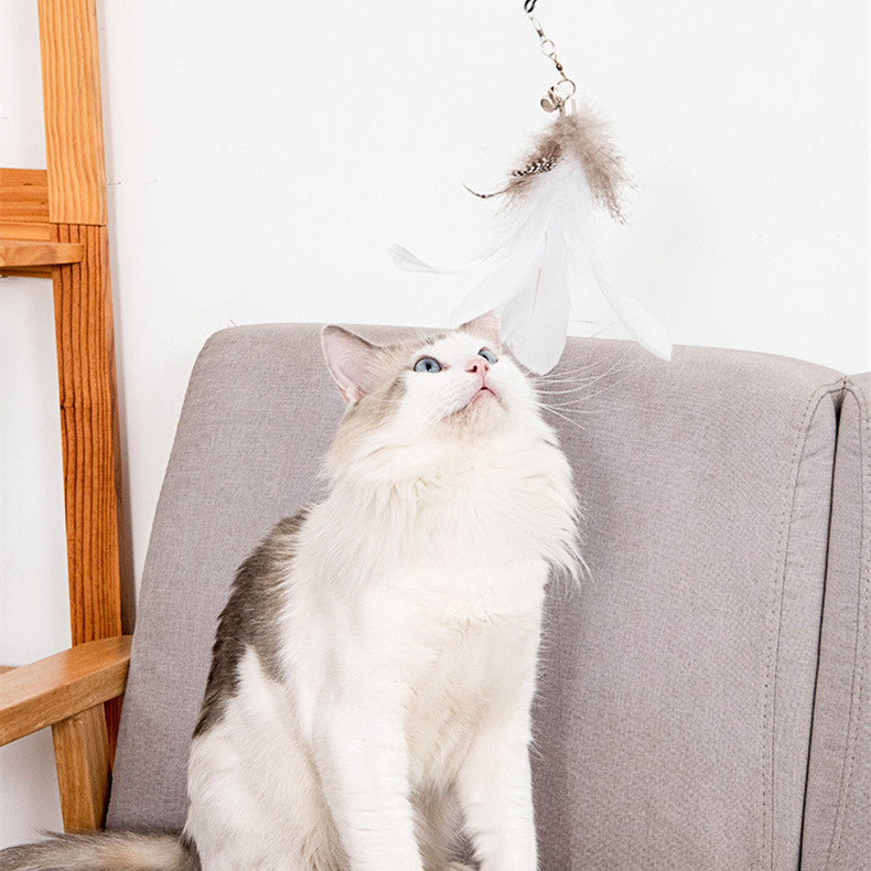 Cat Teaser Stick – Strong Suction Cup Long Rod Elastic Feather Wand