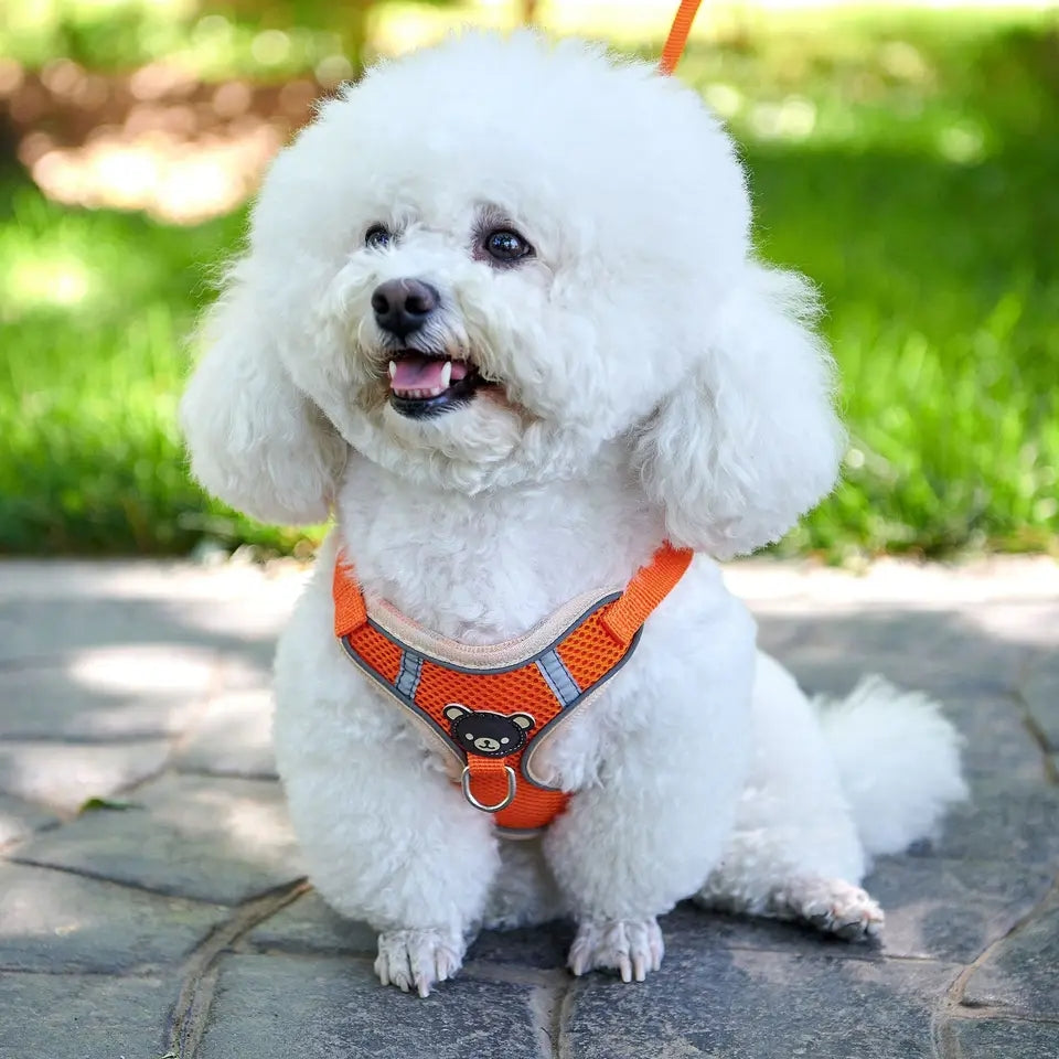 Adjustable Dog Harness – Soft Reflective Vest Style Harness with Leash for Secure Fit