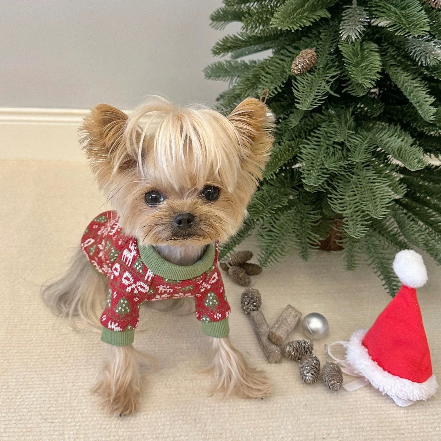 Christmas Dog Shirt - Cute Holiday Dog Shirt | Festive Pet Apparel & Seasonal Wear