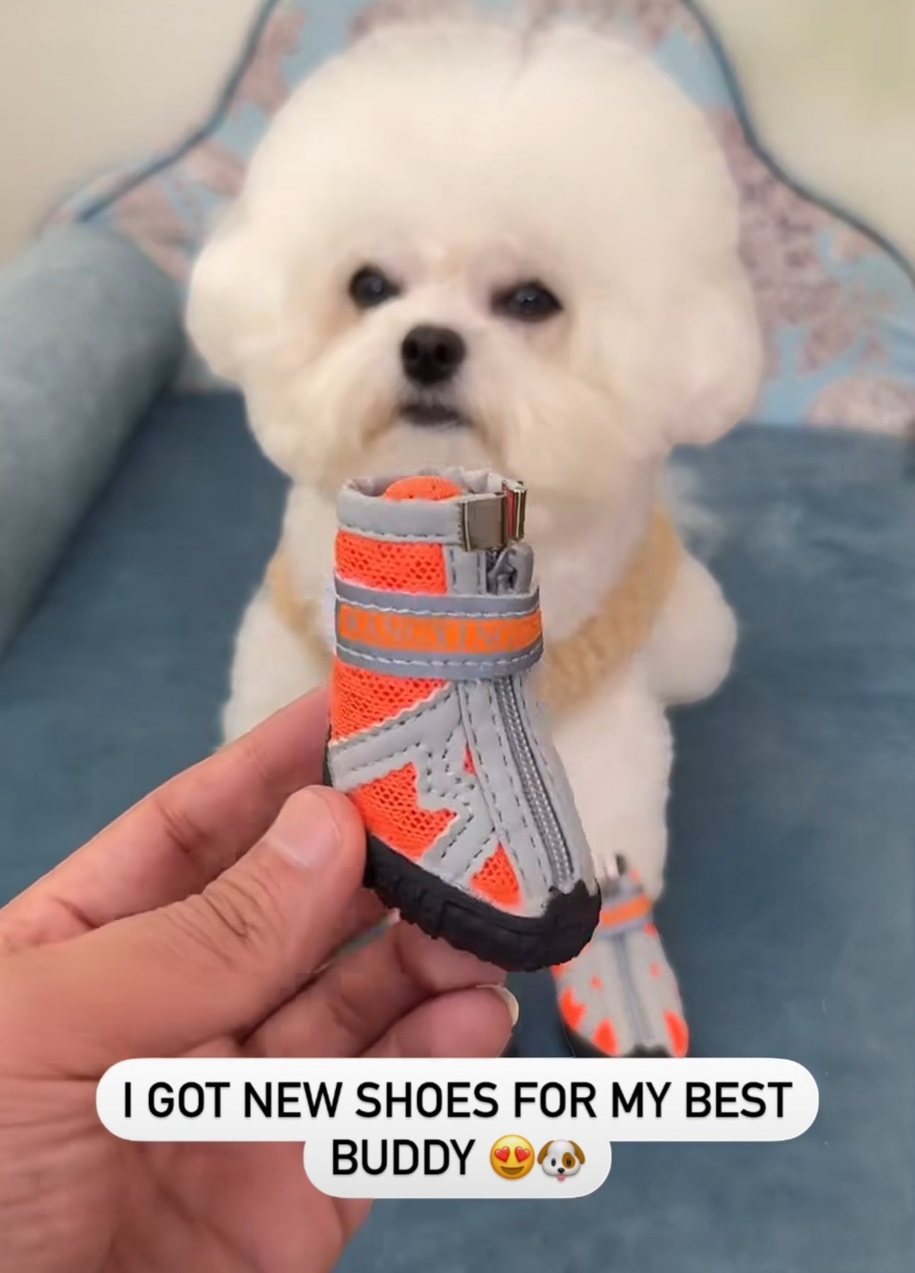 Dog Boots For Hiking – Durable Non Slip Dog Shoes With Adjustable Booties