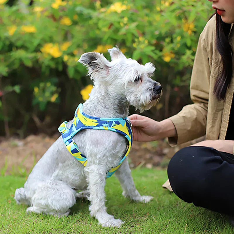 Dog Cat Harness Adjustable Pet Vest – Comfortable Puppy Walking Leash & Secure Straps