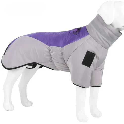 Cat Winter Jacket – Warm Insulated Pet Coat | Water-Resistant Cozy Outerwear
