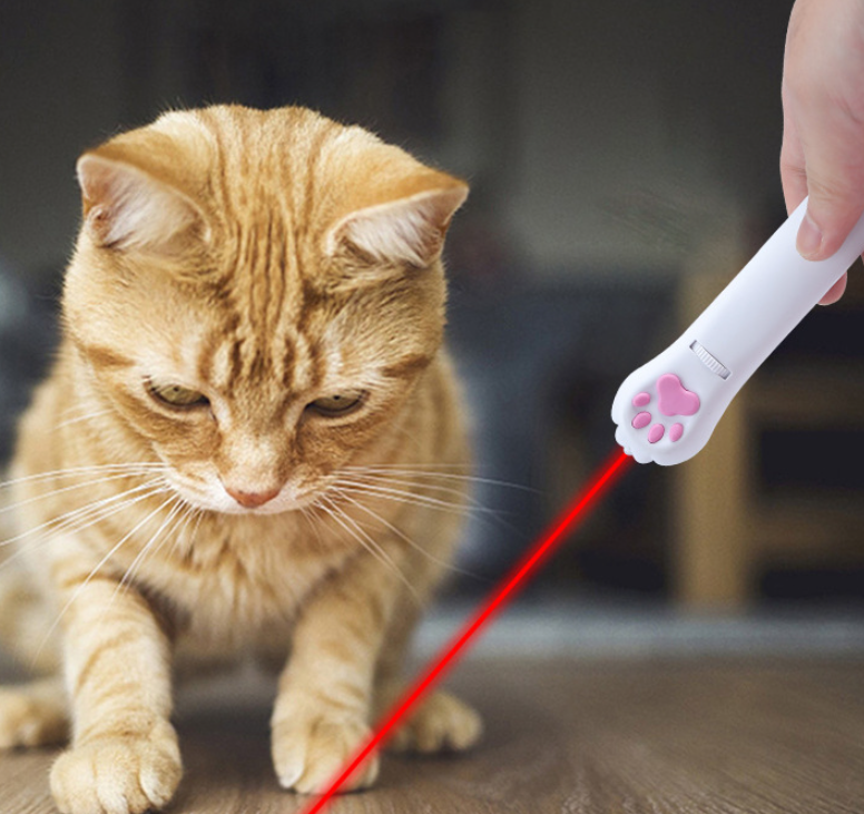 Cat Laser Pointer - Infrared Multi-Pattern Laser Cat Toy with Red Green Light