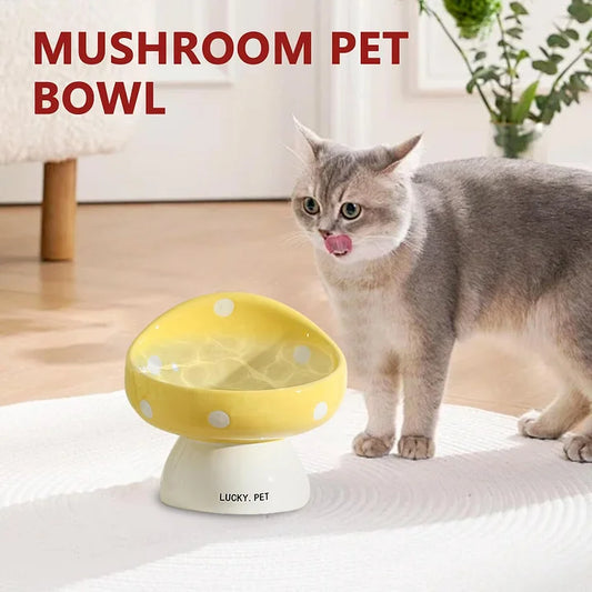 Raised Cat Bowls - Ceramic Elevated Bowl | Easy Clean, Non Spill Cat Food Bowls