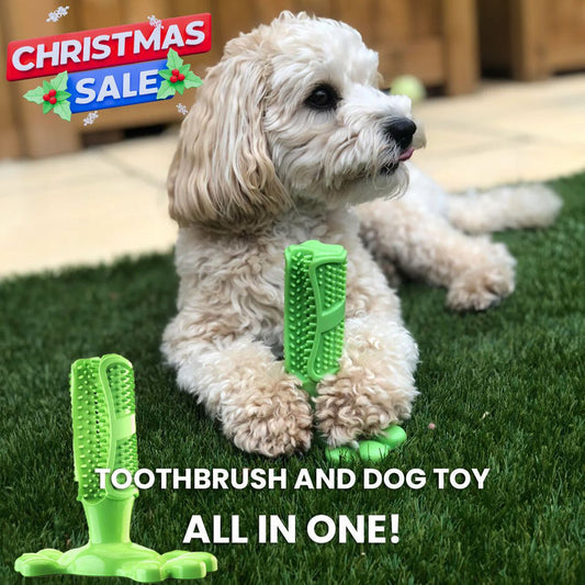 Dog Toothbrush Toy – Dual Sided Brush With Stabilizing Base For Aggressive Chewers