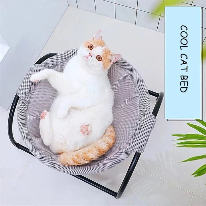 Floor Cat Hammock - Durable Cat Bed With Stand | Comfortable Indoor Pet Lounge