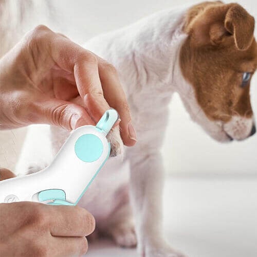 LED Pet Nail Clippers – Ergonomic Scissor Style Clippers With LED Light