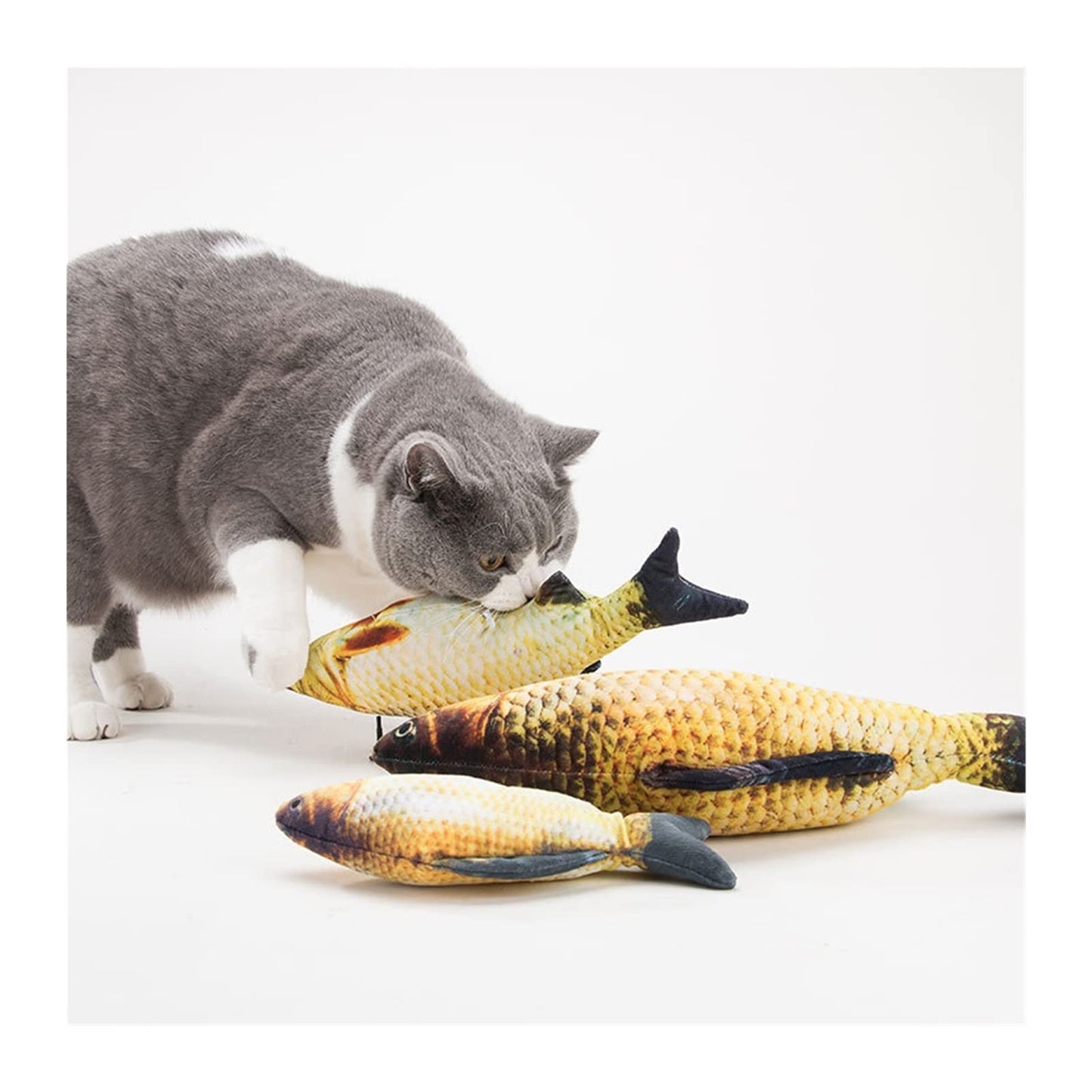Catnip Fish Toy – Interactive Cat Exercise Toy for Healthy Play & Hunting Instinct