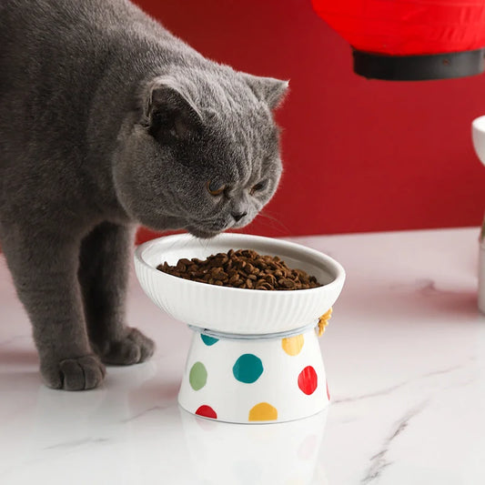 Ceramic Cat Bowl - Elevated Pet Feeding Dish | Whisker Fatigue Relief & Spill Resistant