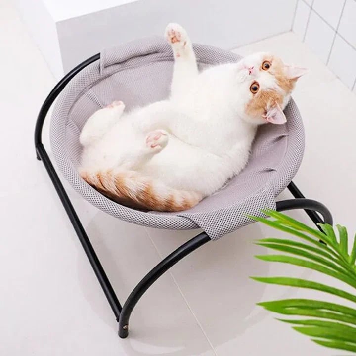 Floor Cat Hammock - Durable Cat Bed With Stand | Comfortable Indoor Pet Lounge