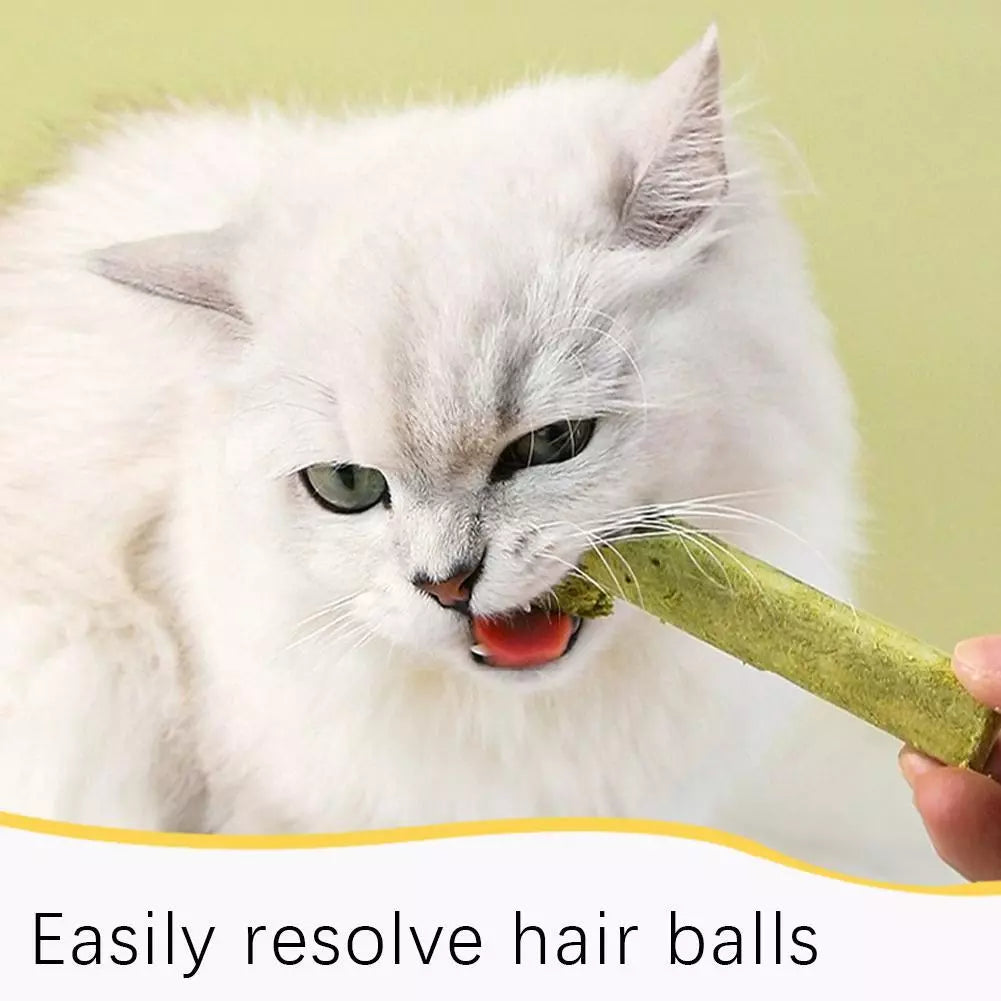 Cat Grass Sticks - Grass Teething Stick & Entertaining Cat Treat for Dietary Health