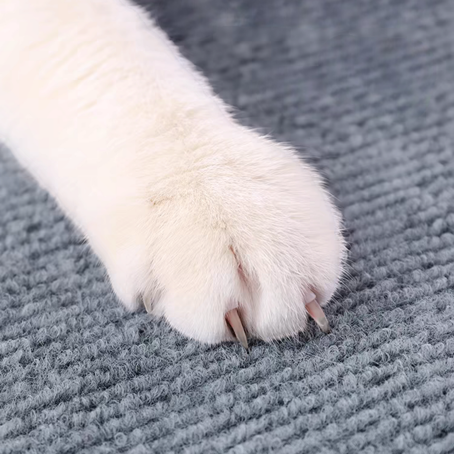 Cat Scratcher Mat - Durable Self Adhesive Cat Pad | Furniture Protection For Cats