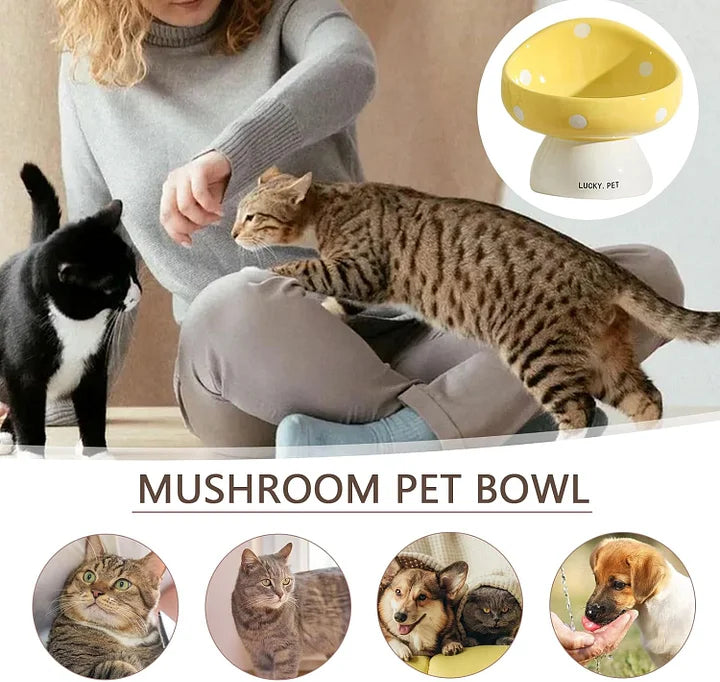 Raised Cat Bowls - Ceramic Elevated Bowl | Easy Clean, Non Spill Cat Food Bowls