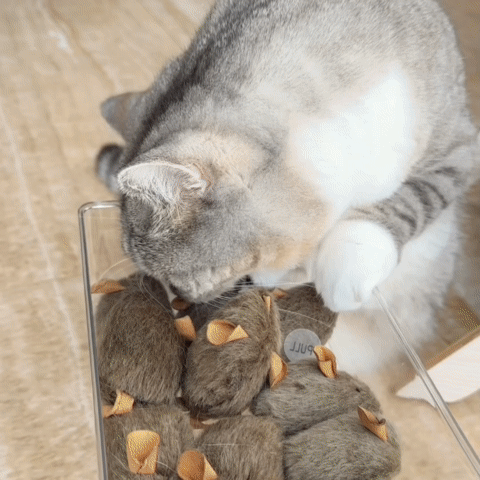 Cat Mouse Toy - Interactive Soft Plush Mouse for Cats & Kittens