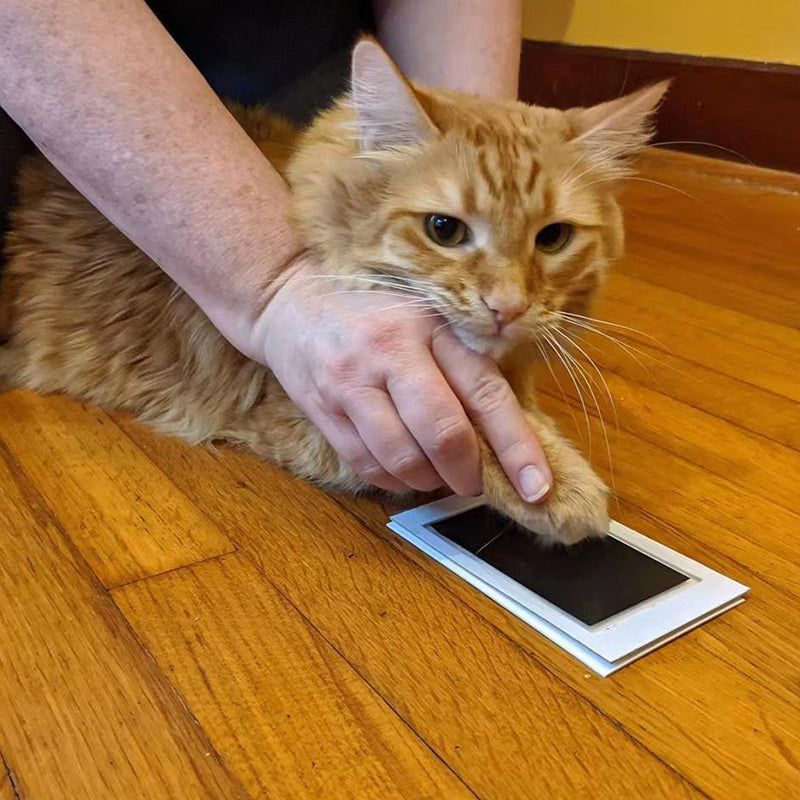 Paw Print Stamp Pad – Clean Touch Inkless Pet Paw Art Supplies Kit