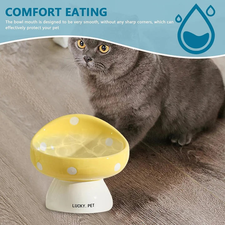 Raised Cat Bowls - Ceramic Elevated Bowl | Easy Clean, Non Spill Cat Food Bowls