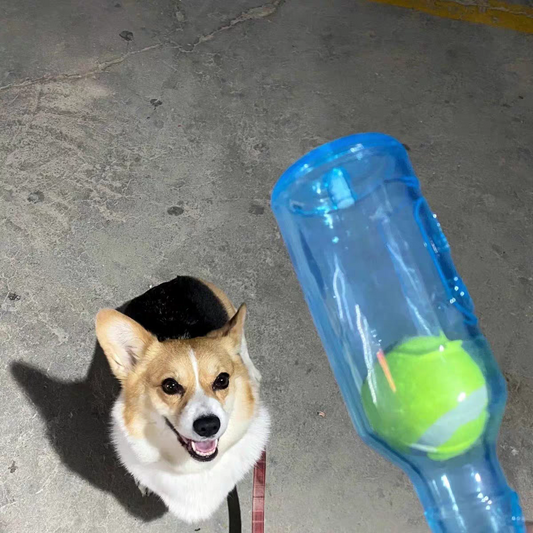 Bottle Toy for Dogs - Durable Chew Toy for Big Dogs & Puppies, Teeth Cleaning