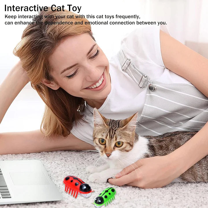 Electronic Cat Toy – Interactive Indoor Cat Toy Battery Operated Playful Accessory