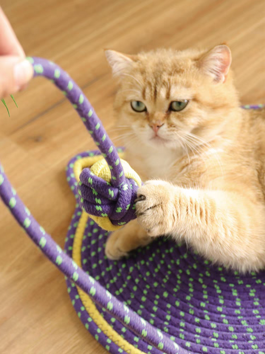 Cat Scratching Mat With Ball Toy – Durable Natural Sisal Pet Scratcher Pad