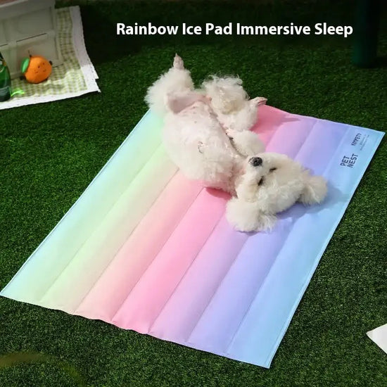 Summer Dog Cooling Bed – Portable Pet Cooling Mat with Ice Layer Technology