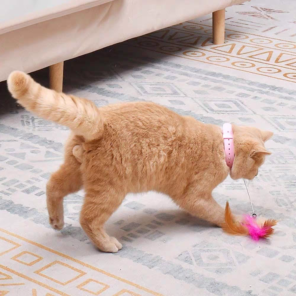 Cat Feather Collar – Self-Healing Durable Cat Toys with Soft Feather Trim