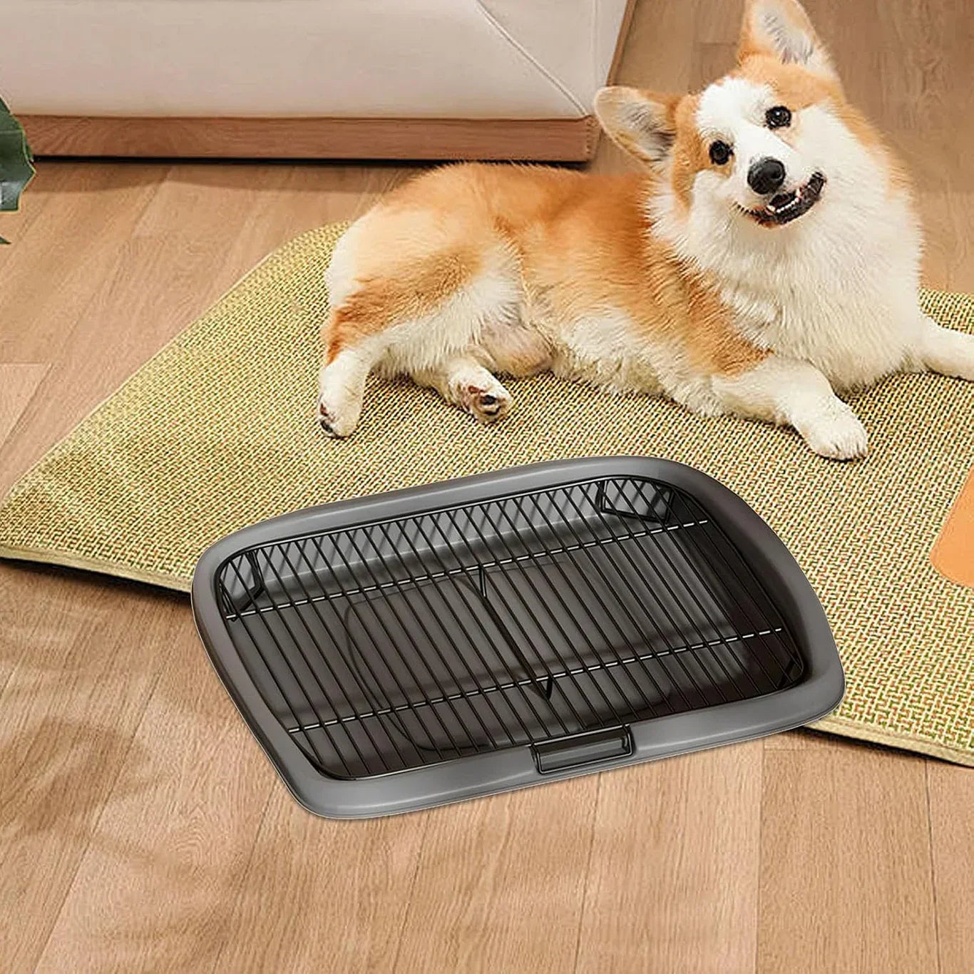 Pet Dog Toilet - Indoor Puppy Potty Training Pad | Odor Control Mat & Easy Cleanup