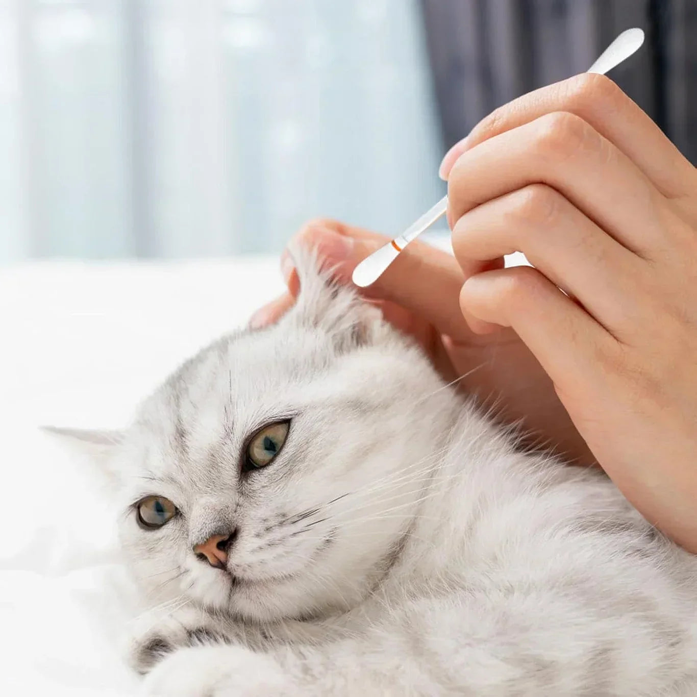 Pet Ear Cleaning Swabs - Portable Soft Cotton Swabs for Gentle Wax Removal | 50PCS