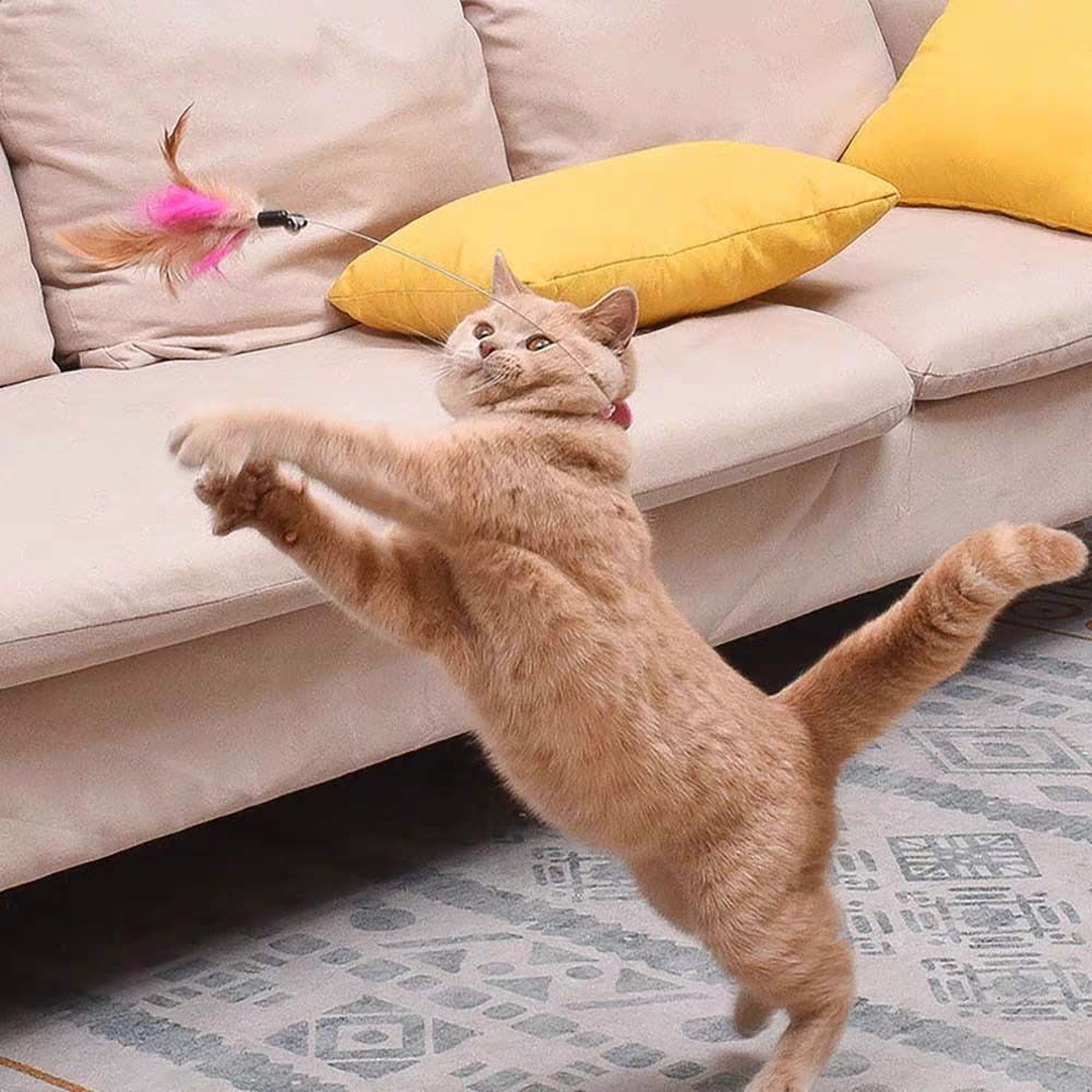 Cat Feather Collar – Self-Healing Durable Cat Toys with Soft Feather Trim