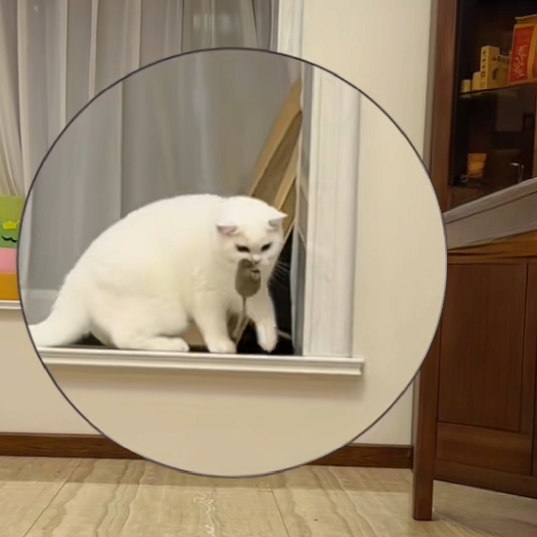 Cat Mouse Toy - Interactive Soft Plush Mouse for Cats & Kittens