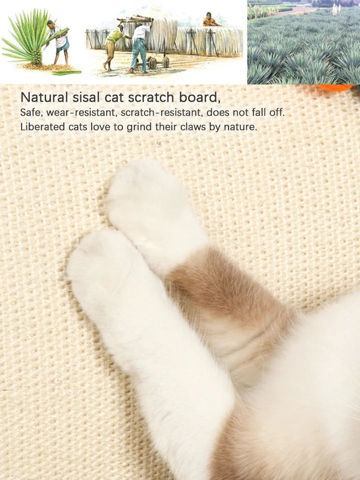 Cat House Tent with Sisal Scratcher - Durable Indoor Cat Shelter & Cozy Hideaway