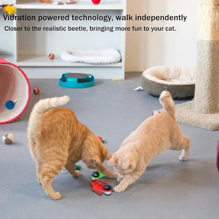 Electronic Cat Toy – Interactive Indoor Cat Toy Battery Operated Playful Accessory
