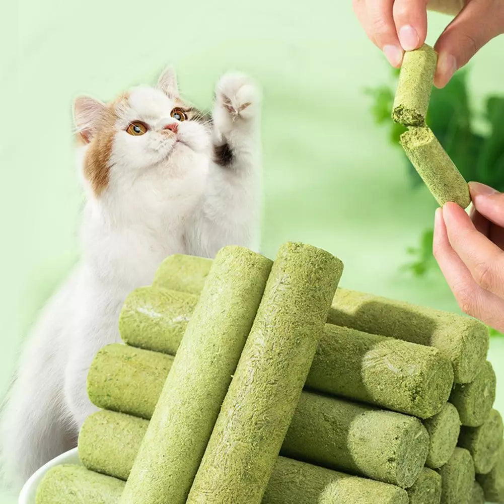 Cat Grass Sticks - Grass Teething Stick & Entertaining Cat Treat for Dietary Health