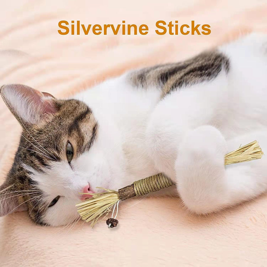 Silvervine Cat Chew Stick – Natural Catnip Alternative & Dental Health Toy