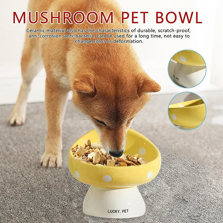 Raised Cat Bowls - Ceramic Elevated Bowl | Easy Clean, Non Spill Cat Food Bowls