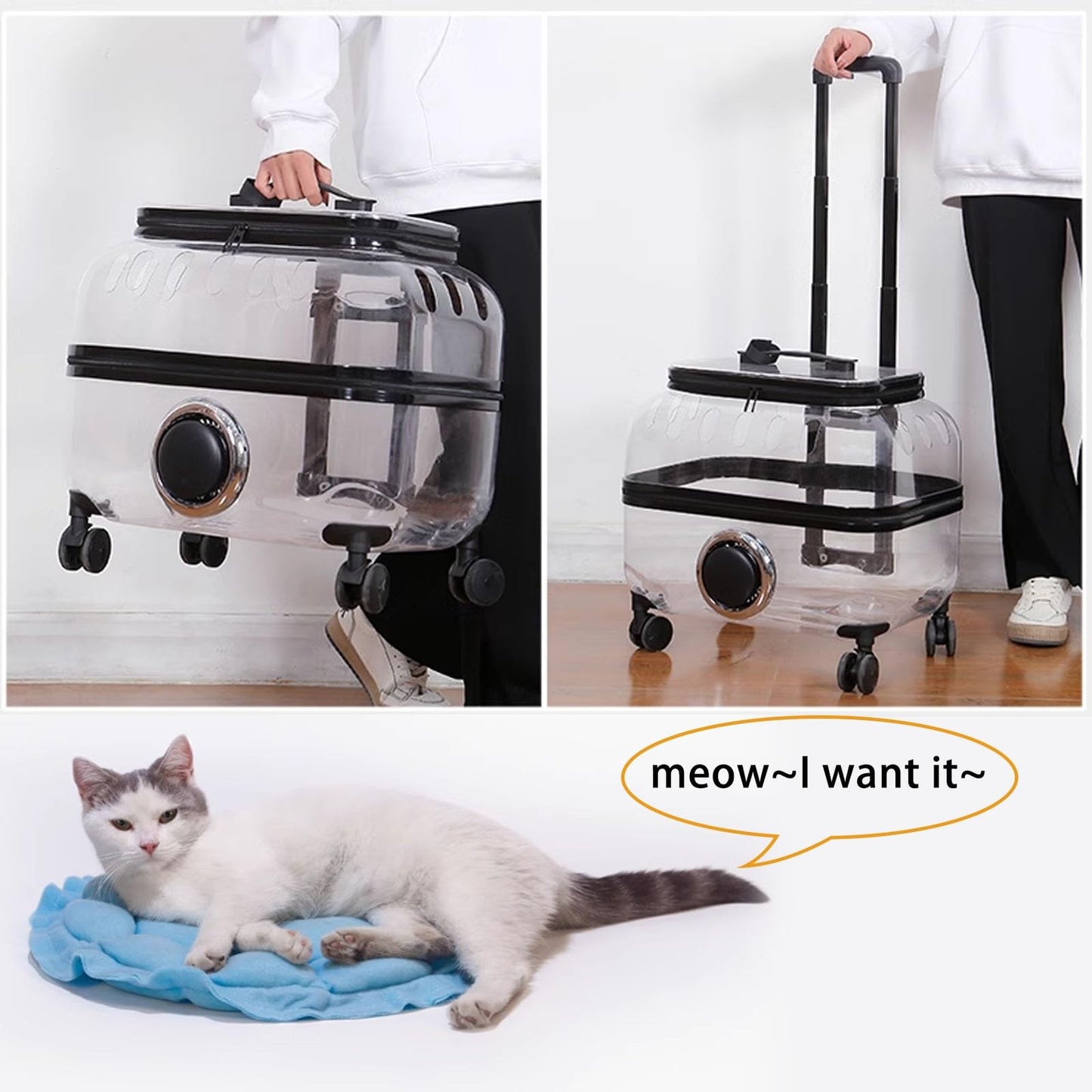 Pet Travel Trolley - Portable Pet Carrier With Transparent Cat Suitcase & Large Capacity