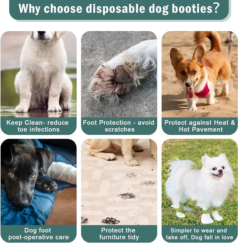 Waterproof Dog Booties – Disposable Pet Booties for Paw Protection & Injury Prevention