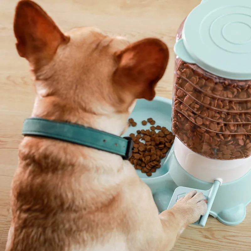 Pet Auto Feeder – Programmable Automatic Meal Dispenser for Easy Pet Feeding