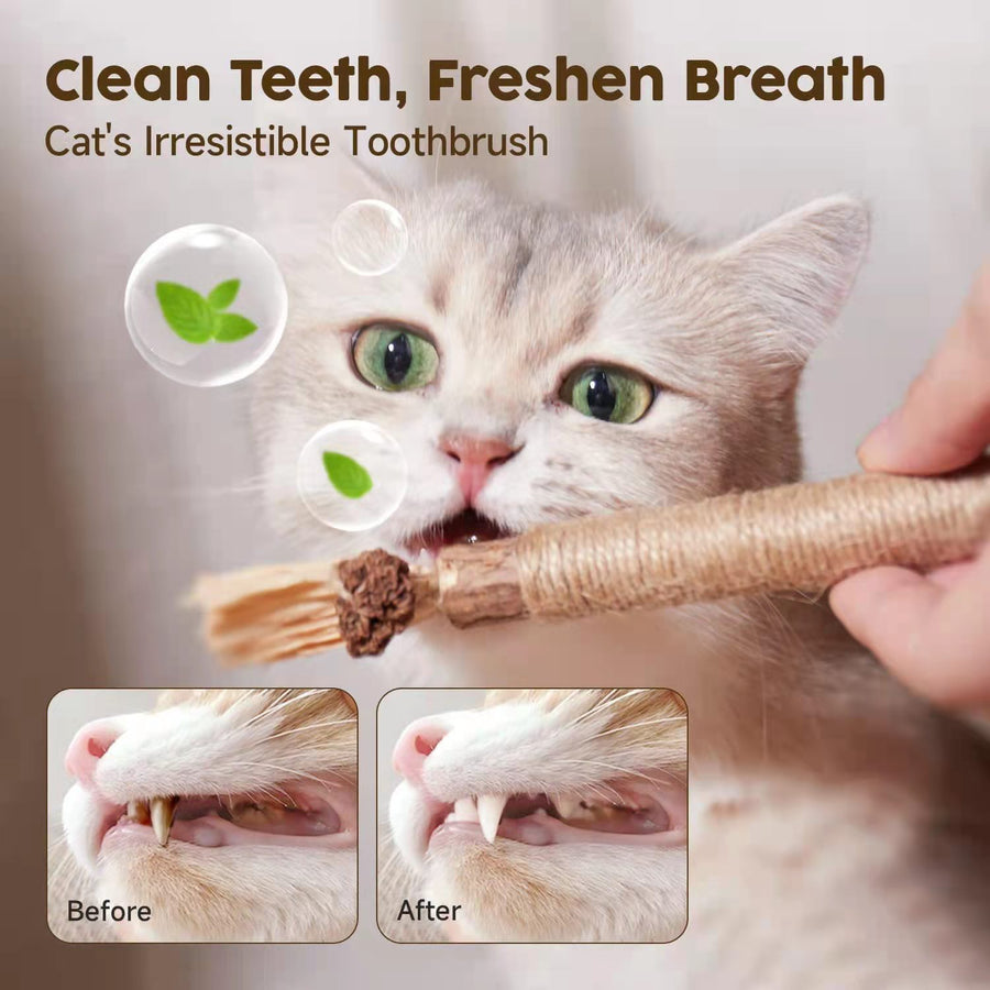 Silvervine Cat Chew Stick – Natural Catnip Alternative & Dental Health Toy